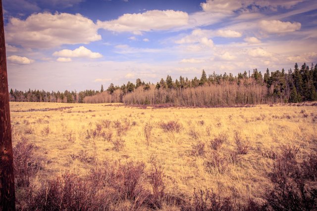 A field on the high plains